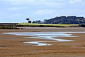 The Waiuku River at low tide in 2000