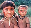 Yanomami