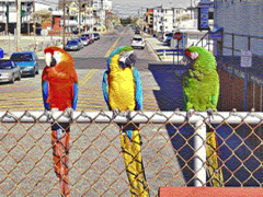 Simulated image as displayed using Tandy Video II / ETGA 640 × 200 mode with 16 colors