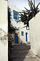 Ruelle de Sidi Bou Saïd.