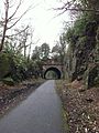 A tunnel to the west of the station.