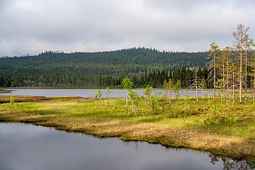 Bränntjärnen - vy mot SV.