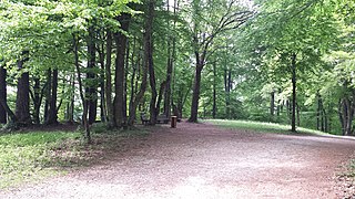 The interior of the castle site