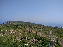 Photographie en couleur montrant un sentier balisé par des piquets de bois et des fils barbelés, sur une île à la végétation composée surtout d'herbe.