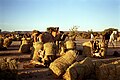 Caravane du sel au départ de l'Aïr