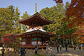 Tōtō, East Pagoda(Danjōgaran)