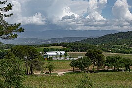 A view of the Château La Coste vineyard