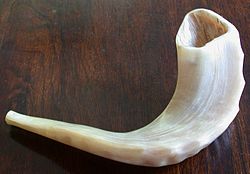 A small shofar made from a ram's horn.