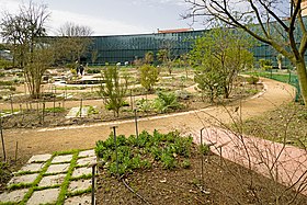 Image illustrative de l’article Jardin botanique Henri-Gaussen