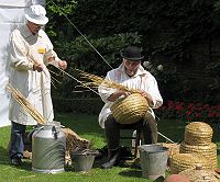 Making a traditional beehive, known as a skep