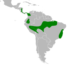 Distribuição do jacu-estalo-de-bico-verde