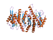 2ajp: Crystal structure of a human pyridoxal kinase