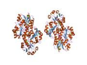 2h1s: Crystal Structure of a Glyoxylate/Hydroxypyruvate reductase from Homo sapiens