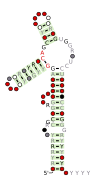 DUF3800-VII Secondary structure taken from the Rfam database. Family RF02967