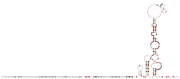 aCoV-3UTR Secondary structure taken from the Rfam database. Family RF03121