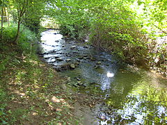 L'Orbise à la passerelle de Saint-Martin-sous-Montaigu.