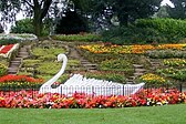 Stapenhill Gardens swan sculpture