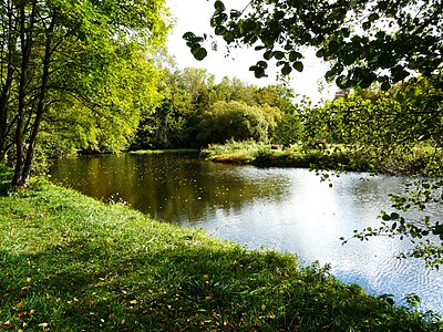 Die Tardoire oberhalb vom Moulin Chabrot