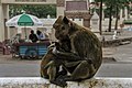 Mère et son petit (Wat Thammikaram, Prachuap Khiri Khan, Thaïlande).