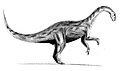 Yunnanosaurus