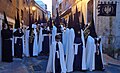 Banderín (cuadrado, a diferencia a los triangulares de las Bandas de Cornetas y Tambores], y primera fila del viento-metal