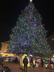 Photograph of a Christmas tree in a public plaza at night