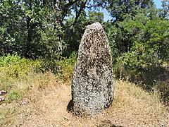 3ème menhir de Lambert. Replanté au début de la piste d'accès à la ferme, au niveau du parking de la Croix d'Anselme.