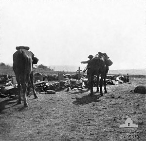 A dismounted soldier with rifle slung standing near a grave site. Two horses stand in the foreground
