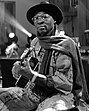 Ali Farka Toure