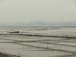 Dongshi skyline seen from across the Anhai Bay