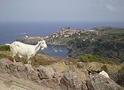 カプラーイア島の主要集落