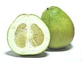 The pomelo (Citrus maxima)