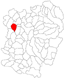 Location in Caraș-Severin County