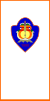 Flag of Municipality of Brvenica