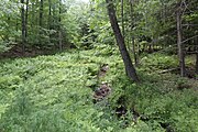 Kayaderosseras Creek crossing Miner Road in Corinth NY, near its source