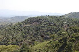 山頂に築かれたコンソの村落と そこから山麓に広がる段々畑