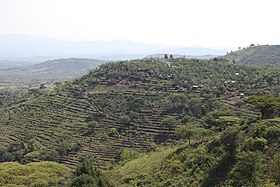 Image illustrative de l’article Paysage culturel du pays konso