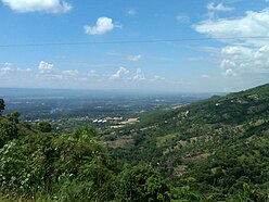 Hispaniolan moist forests, hills north of Santiago de los Caballeros, Dominican Republic and Haiti, the island of Hispaniola