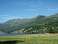 Activités de loisirs au Sud du lac de Génos-Loudenvielle