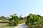 The walkway in palai genetic heritage garden