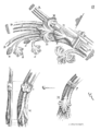 Figure 3 - Penture de la porte Sainte-Anne[147].