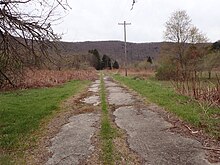 This image shows the decaying roadway and utility poles without wires leading to the hamlet of Rock Rift which was seized for the construction of the Cannonsville Reseroir