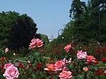 La naturaleza del parque.