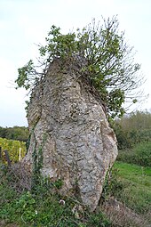 Menhir des Pierres Meslières n°1