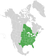 Map of North America with green shading. Data source Brouillet et.al., Flora of North America.[29]