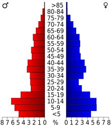 Schéma représentant la population du comté, par tranche d'âge. En rouge, à gauche, les femmes, en bleu à droite, les hommes.