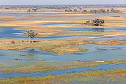 Vue du delta de l'Okavango, patrimoine mondial de l'UNESCO. C'est le second plus grand delta intérieur du monde après le delta intérieur du Niger.