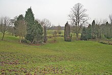 Western Park meadow with trees on a cloudy day.