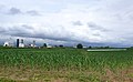 Amish crops in the county