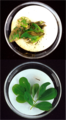 Image 13Bt-toxins in genetically modified peanut leaves (bottom) protect from damage by corn borers (top). (from History of agriculture)